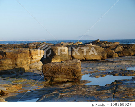 The rocky beach of Mooloolaba, Queensland, Sunshine Coast, Australia. 109569927
