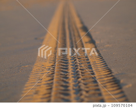 Tracks on the golden sand leading into the sea 109570104