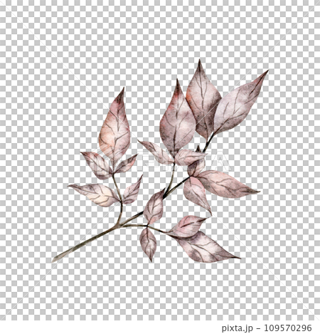 Rustic wedding greenery. Dried leaves, bleached grass, autumn herbal. Hand drawn Watercolor autumn illustration for design, fabric or print 109570296