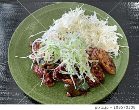 ザンギ 甘酢餡かけ ザンタレ ざんたれ 唐揚げ ザンギ 甘酢餡かけ ザンタレ ざんたれ 唐揚げ 109570309