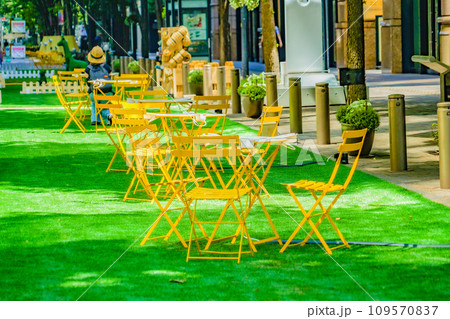 丸の内の遊歩道(丸の内仲通り) 丸の内の遊歩道(丸の内仲通り) 109570837