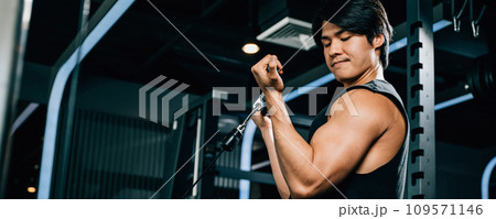 Concept of fitness and exercise - a muscular male athlete pulling a cable tricep rope during a strength training session. lifestyle and people concept 109571146