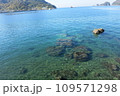 透き通る海 109571298