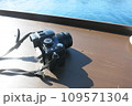 一眼レフカメラを撮影 109571304