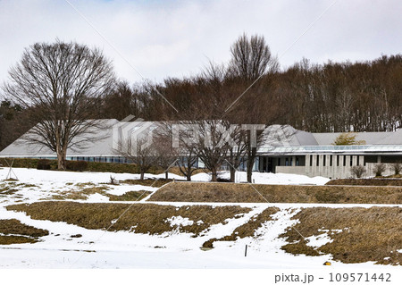 ケヤキがシンボルツリーの野村胡堂あらえびす記念館 109571442