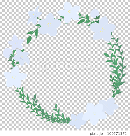 白い桔梗の丸フレーム 白い桔梗の丸フレーム 109571572