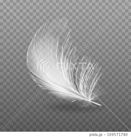 Vector 3d realistic falling feather closeup isolated on transparency mesh background. Design template, image of angel or bird feather. 109571780