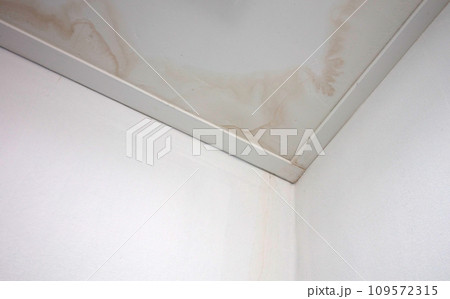 Stains on ceiling and wall from water leak 109572315