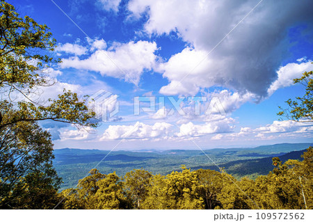 Majestic Mountain Solitude Serene Woodland Cliffscapes 109572562