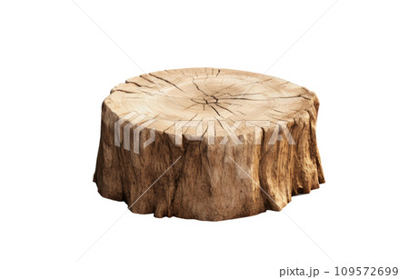 an old tree stump against white floor isolated an old tree stump against white floor isolated 109572699
