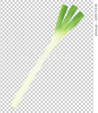 Hand-drawn style illustration of green onion 109573336