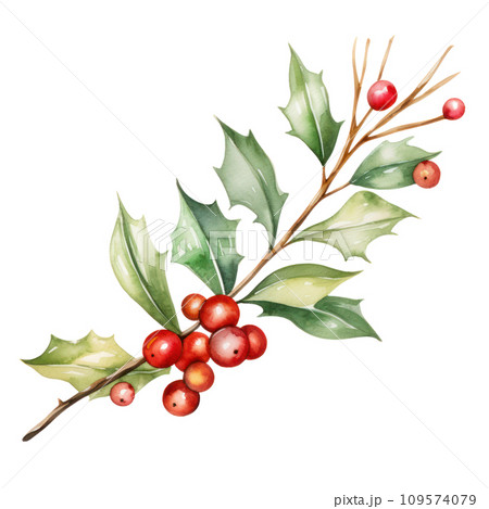 watercolor christmas decoration branch isolated 109574079