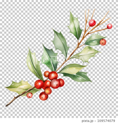 watercolor christmas decoration branch isolated 109574079