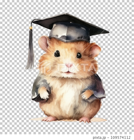 Cute watercolor hamster in graduation cap isolated 109574112