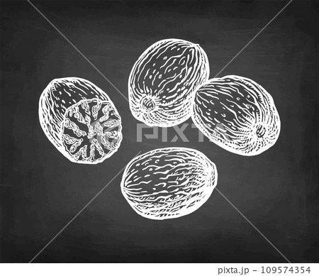 Nutmeg spice chalk sketch. 109574354