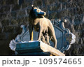 Capitoline Wolf statue symbol of Rome at city center 109574665