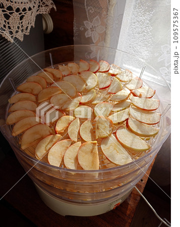 Sliced apples are arranged in an electric dryer Sliced apples are arranged in an electric dryer 109575367