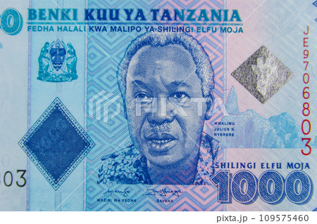 Macro shot of the one thousand tanzanian shillings banknote 109575460