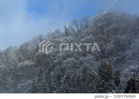 雪で白くなった里山と青空と白い雲　福島県只見町 109576069