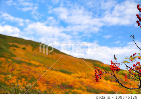 紅葉した山・月山 109576129