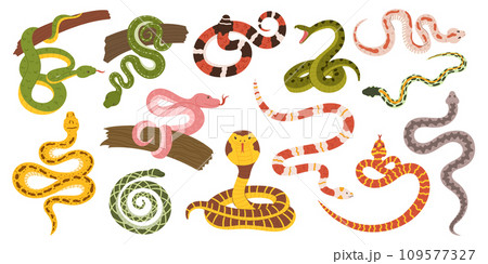 Mesmerizing Collection Of Snakes, Showcasing A Kaleidoscope Of Colors And Patterns. From Slithering Cobras To Pythons Mesmerizing Collection Of Snakes, Showcasing A Kaleidoscope Of Colors And Patterns. From Slithering Cobras To Pythons 109577327
