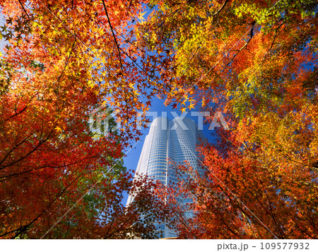 六本木ヒルズと毛利庭園の新緑 東京都 六本木ヒルズと毛利庭園の新緑 東京都 109577932