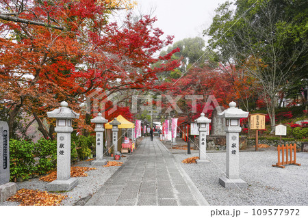 出雲大神宮(京都府亀岡市) 出雲大神宮(京都府亀岡市) 109577972