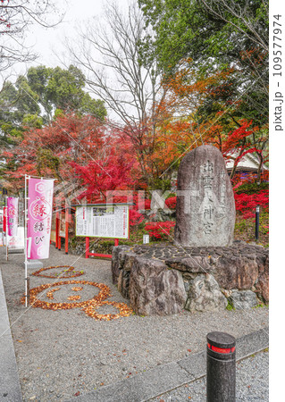 出雲大神宮(京都府亀岡市) 出雲大神宮(京都府亀岡市) 109577974
