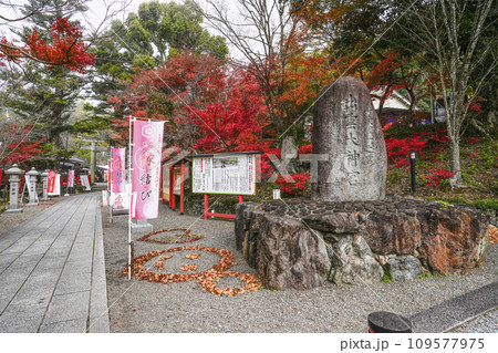 出雲大神宮(京都府亀岡市) 出雲大神宮(京都府亀岡市) 109577975