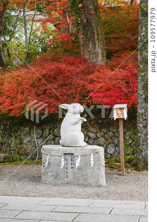出雲大神宮（京都府亀岡市） 109577979