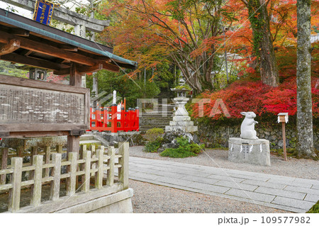 出雲大神宮（京都府亀岡市） 109577982