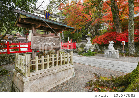 出雲大神宮（京都府亀岡市） 109577983