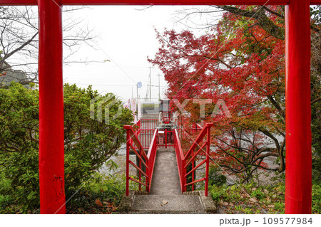 出雲大神宮(京都府亀岡市) 出雲大神宮(京都府亀岡市) 109577984
