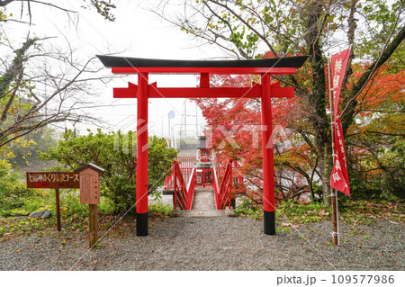 出雲大神宮(京都府亀岡市) 出雲大神宮(京都府亀岡市) 109577986