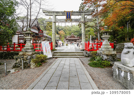 出雲大神宮（京都府亀岡市） 109578005