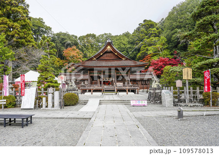 出雲大神宮(京都府亀岡市)本殿・拝殿 出雲大神宮(京都府亀岡市)本殿・拝殿 109578013