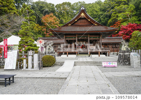 出雲大神宮（京都府亀岡市）本殿・拝殿 109578014