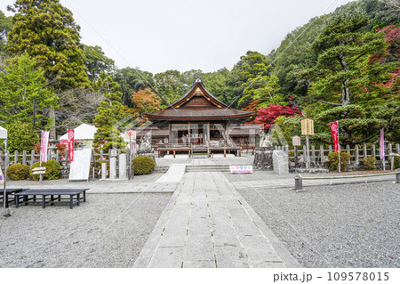 出雲大神宮（京都府亀岡市）本殿・拝殿 109578015