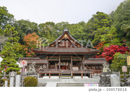 出雲大神宮(京都府亀岡市)本殿・拝殿 出雲大神宮(京都府亀岡市)本殿・拝殿 109578018