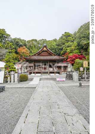 出雲大神宮（京都府亀岡市）本殿・拝殿 109578019