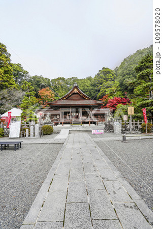 出雲大神宮（京都府亀岡市）本殿・拝殿 109578020