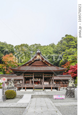 出雲大神宮(京都府亀岡市)本殿・拝殿 出雲大神宮(京都府亀岡市)本殿・拝殿 109578021
