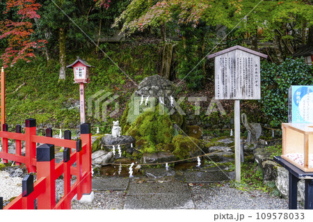 出雲大神宮（京都府亀岡市）真名井のいずみ 109578033