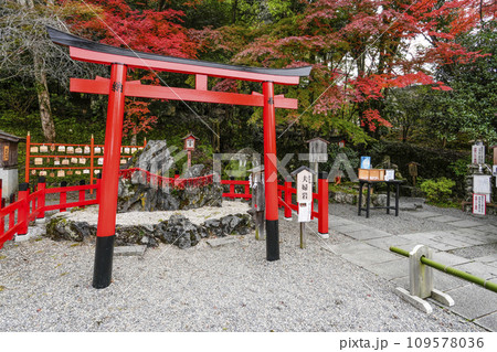 出雲大神宮（京都府亀岡市）夫婦岩 109578036