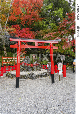 出雲大神宮(京都府亀岡市)夫婦岩 出雲大神宮(京都府亀岡市)夫婦岩 109578037