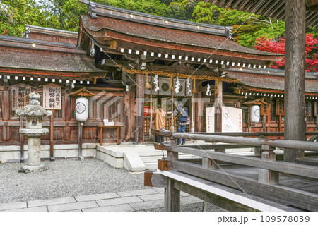出雲大神宮(京都府亀岡市)本殿 出雲大神宮(京都府亀岡市)本殿 109578039