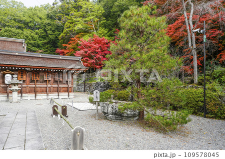 出雲大神宮（京都府亀岡市）舟岩 109578045