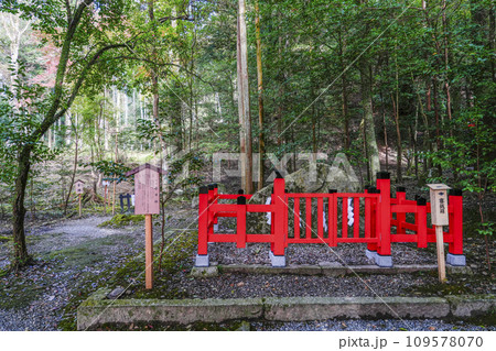 出雲大神宮（京都府亀岡市）春日社 109578070