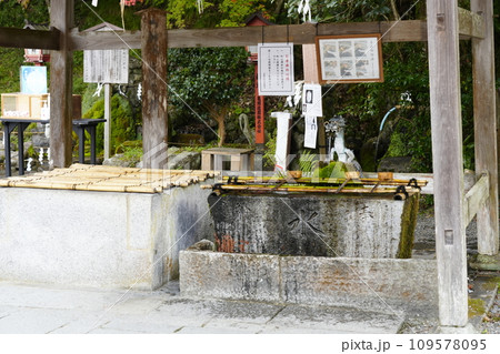 出雲大神宮（京都府亀岡市）手水舎 109578095