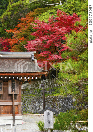 出雲大神宮（京都府亀岡市）の紅葉 109578097